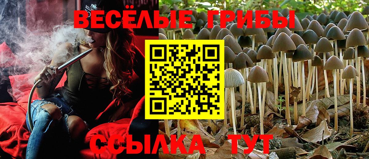 Псилоцибиновые грибы GOLDEN TEACHER  Вход с VPN  Ревда 